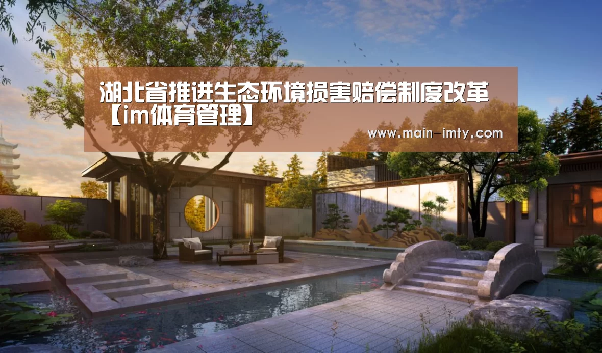 im体育下载
