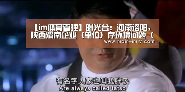 im体育分部