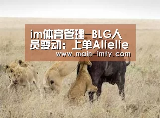im体育分部