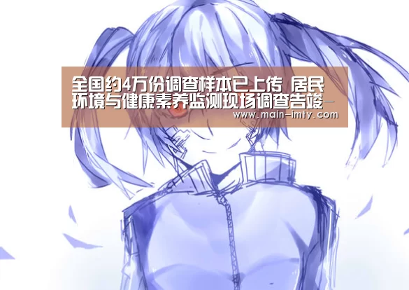 im体育管理