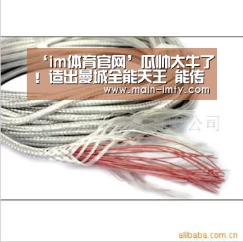 im体育官网