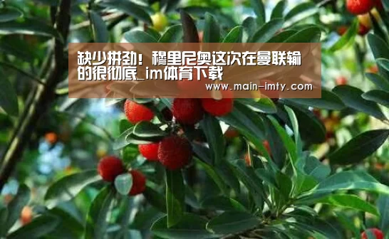 im体育管理