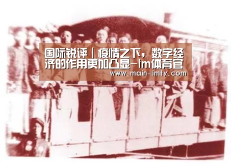 国际锐评|疫情之下,数字经济的作用更加凸显-im体育官网(图2) im体育分部