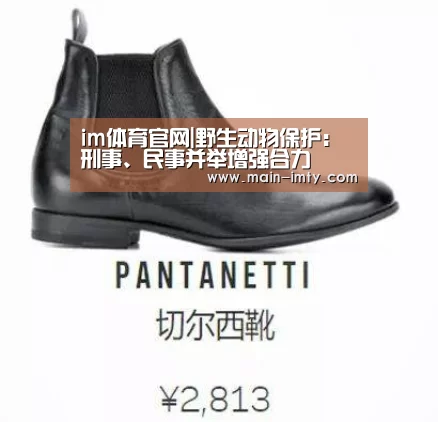 im体育管理